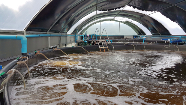 陸上養殖の普及に欠かせない<br>水質管理のDX化